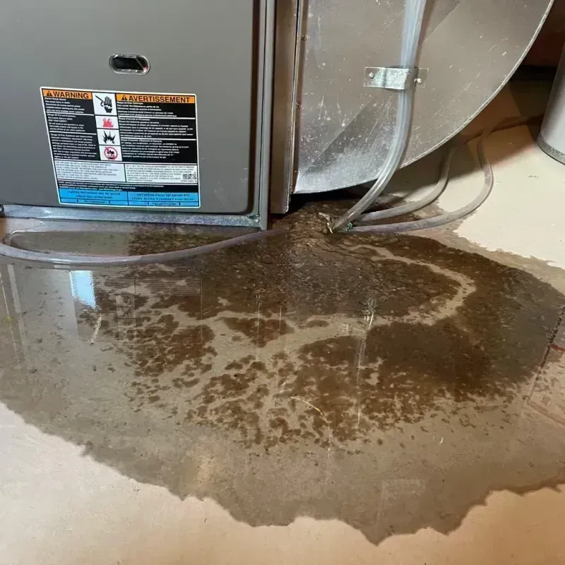 Appliance Leak Cleanup in Roodhouse, IL